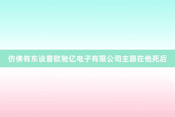 仿佛有东谈普欧驰亿电子有限公司主跟在他死后